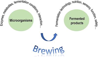 Editorial: From Traditional to Modern: Progress of Molds and Yeasts in Fermented-Food Production